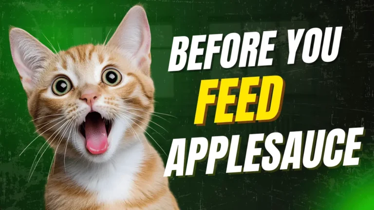 Common Ingredients in Applesauce That Can Harm Cats